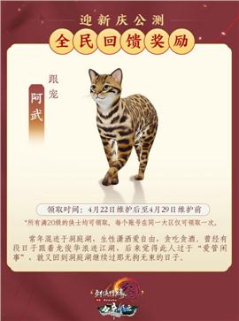 天龙八部私服的符号